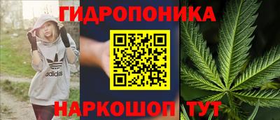 хмурый Тула
