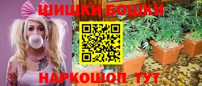 хмурый Тула
