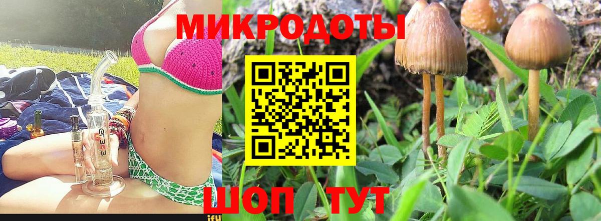 Галлюциногенные грибы Psilocybine cubensis  Вход с VPN  Ачинск 